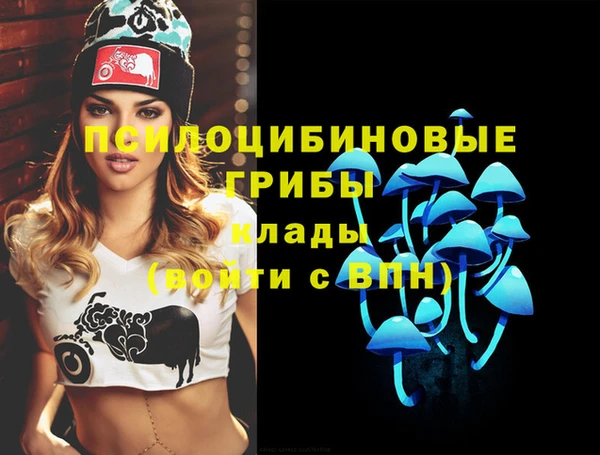 гидропоника Горнозаводск