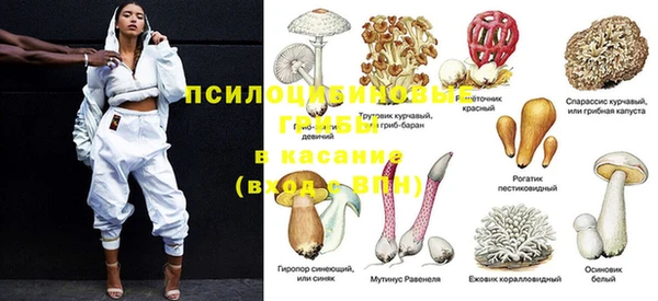 PSILOCYBIN Горно-Алтайск