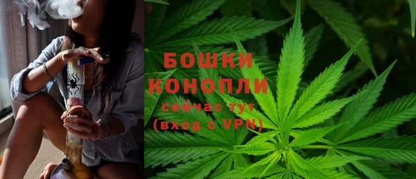 дживик Горняк