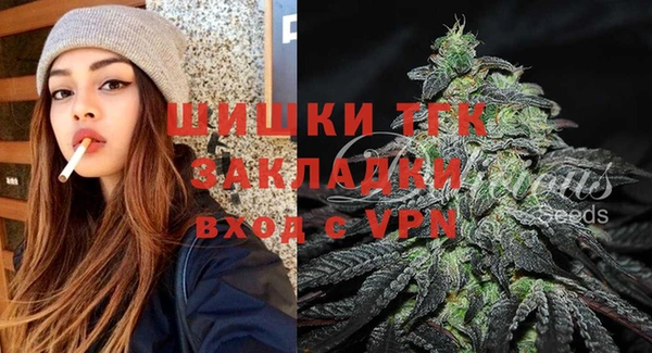 PSILOCYBIN Горно-Алтайск