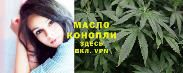 дживик Горняк