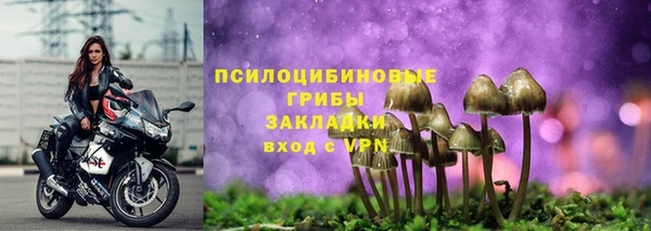 дживик Горняк