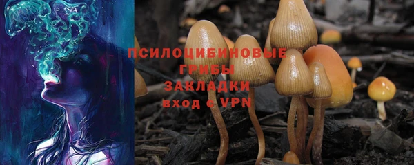дживик Горняк
