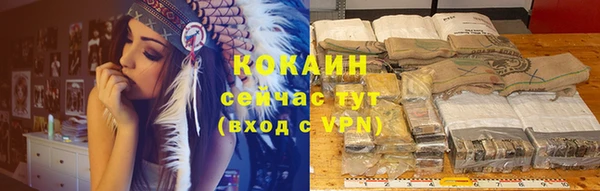 PSILOCYBIN Горно-Алтайск