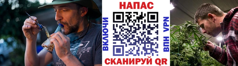 Бошки марихуана марихуана Ноябрьск